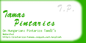 tamas pintarics business card